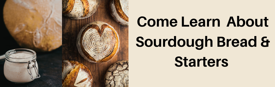 Sourdough Bread and Starters Class